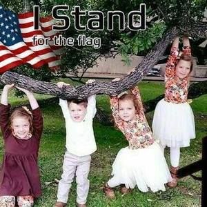 Meet your Posher, Troy